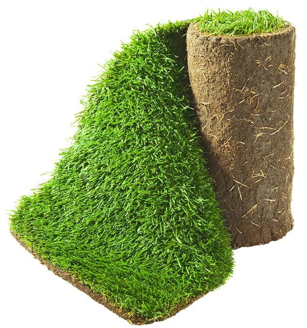 Premium Sod 1