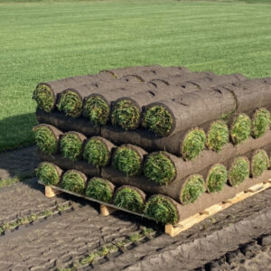 Half Skid 39 Rolls/350 Sq Ft