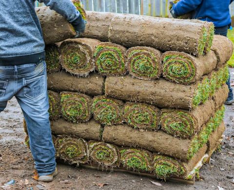 Sod Delivery Services