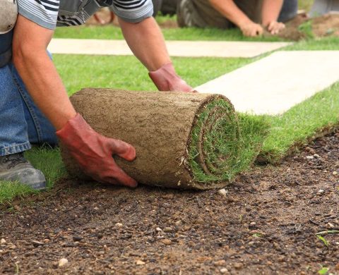 Sod Installation Services